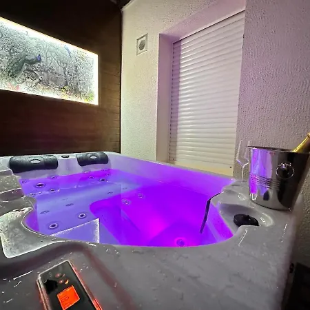 Gatsby Confortable Jacuzzi & Terrasse Reims