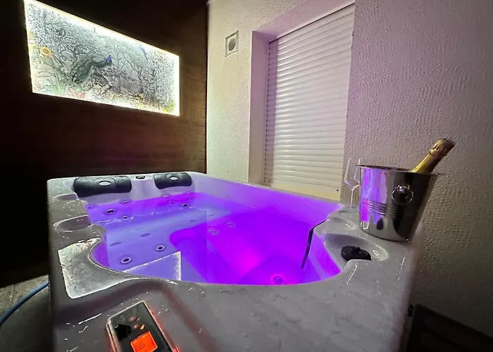 Gatsby Confortable Jacuzzi & Terrasse Reims